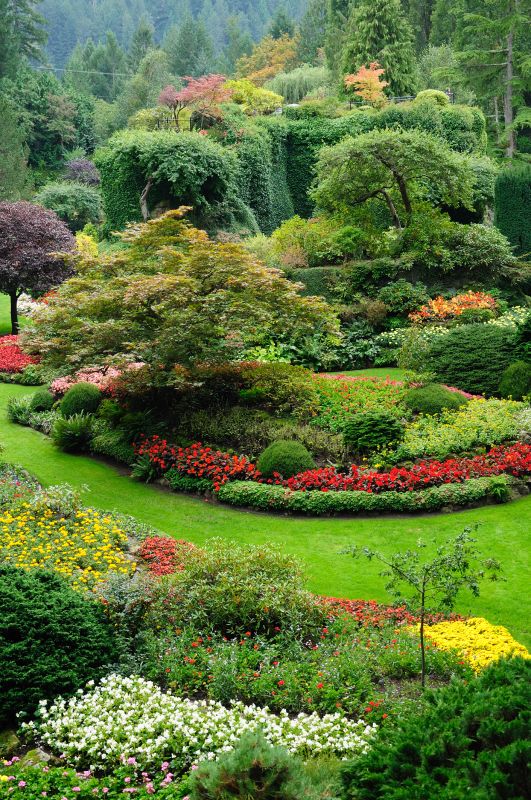 Park Landscape Maintenance in Honolulu, HI