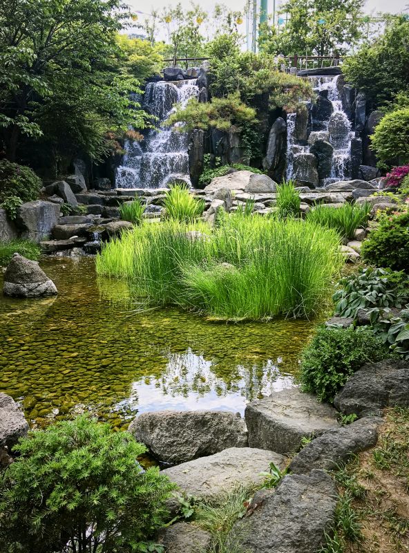 Waterscaping in Honolulu, HI
